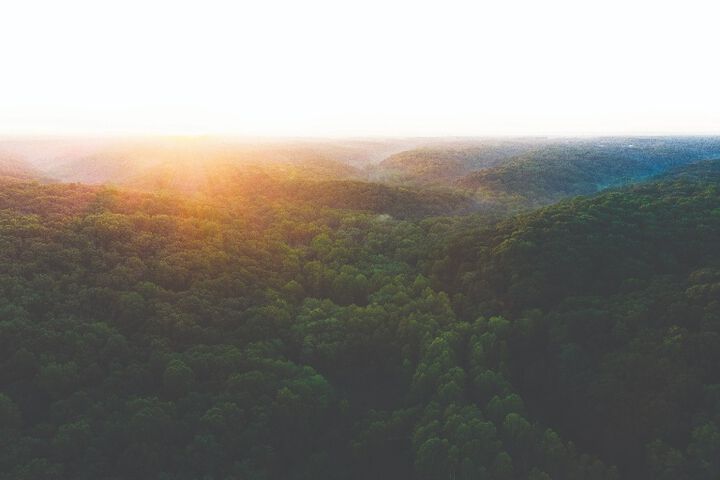 An aerial view of the sun shining over an expanse of trees.